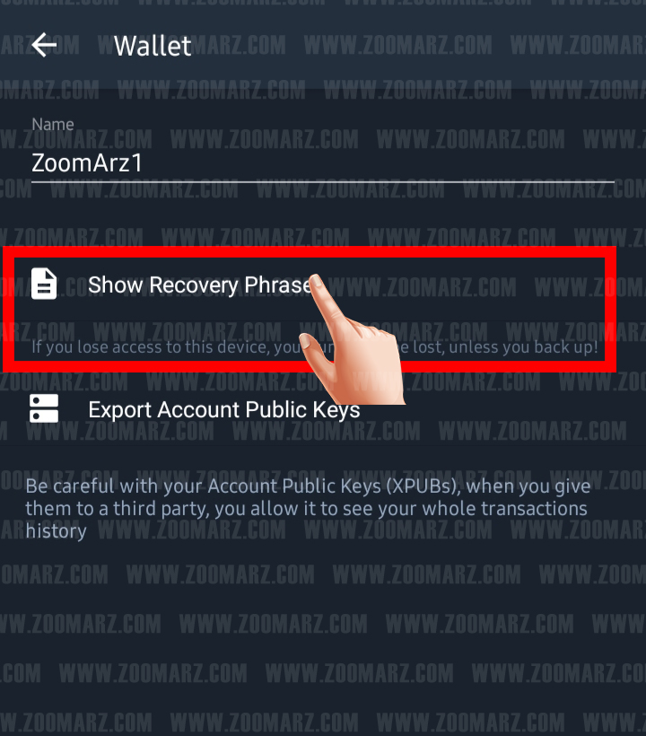 برای دریافت عبارات بازیابی بر روی گزینه " Show Recovery Phrase " لمس کنید