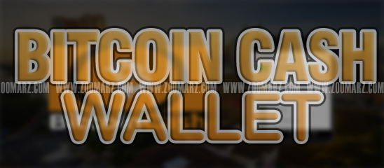 بهترین کیف پول بیت کوین کش