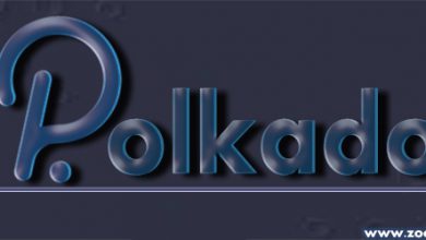 Polkadot توانست در میان 10 رمزارز برتر دنیا قرار بگیرد!