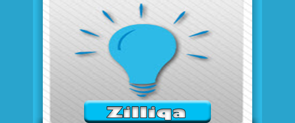 در هنگام انتخاب کیف پول zil، به چه نکاتی باید توجه کرد؟