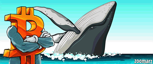 بیدار شدن یک نهنگ بیت کوین پس از 11 سال