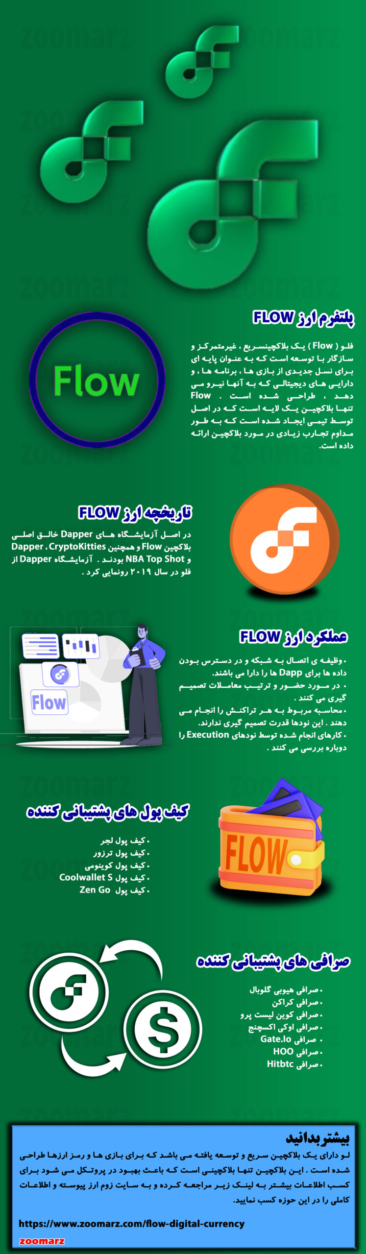 اینفوگرافیک ارز دیجیتال فلو Flow