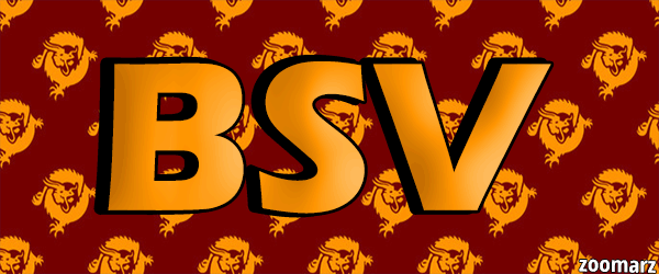 ارز دیجیتال بیت کوین ساتوشی ویژن (Bitcoin SV) چیست؟