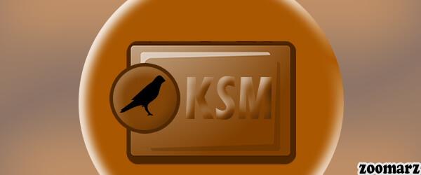 ارز دیجیتال کوساما KSM را در چه کیف پول هایی می توان ذخیره نمود؟