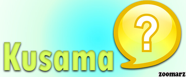 ارز دیجیتال کوساما Kusama چیست؟