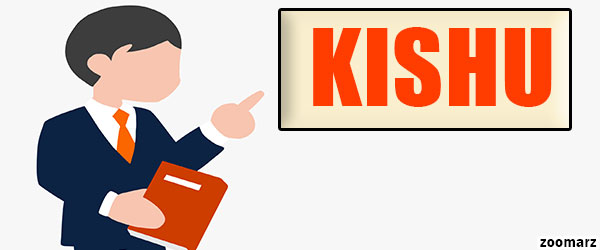 ارز دیجیتال کیشو اینو KISHU چیست؟