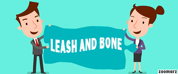معرفی توکن های BONE و LEASH