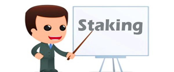 معرفی انواع استیکینگ Staking