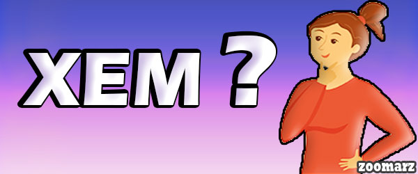 ارز دیجیتال زم Xem چیست؟