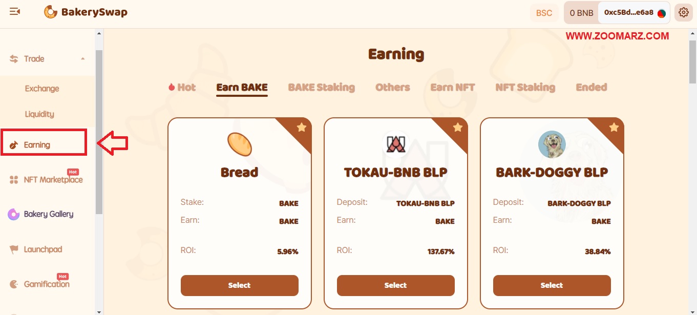 3.Earning (درآمد)