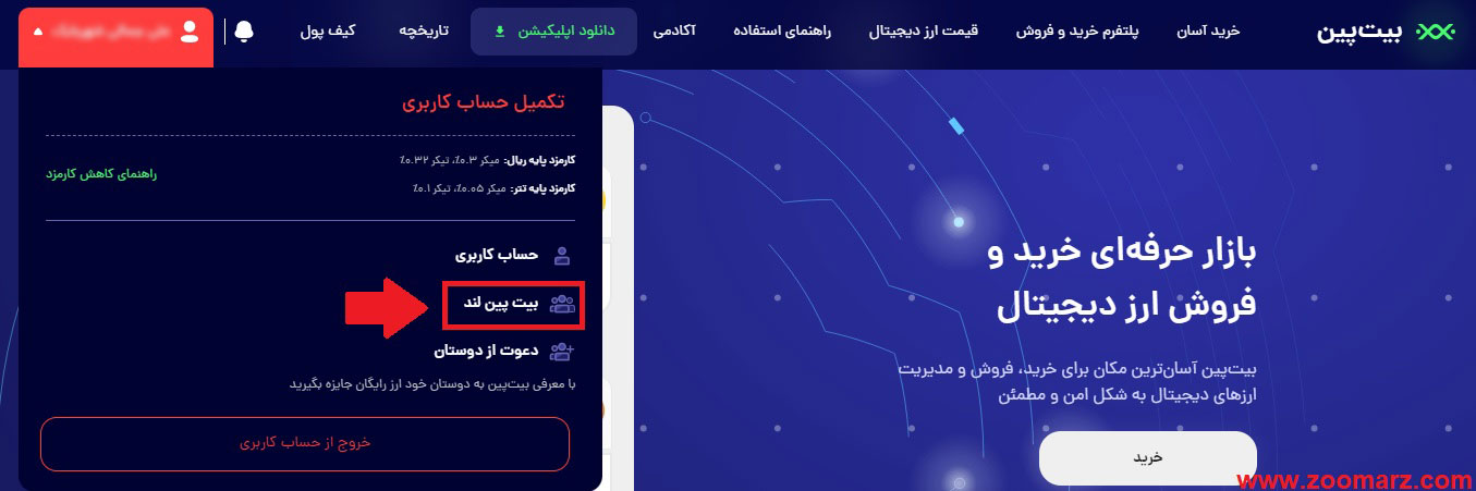 بیت پین لند