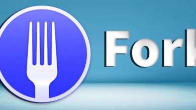 فورک Fork چیست؟