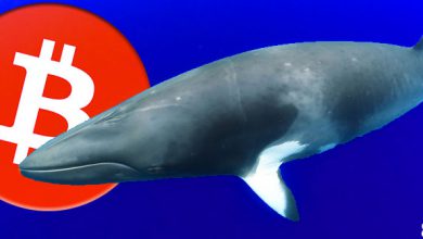 نهنگ های بیت کوین به دنبال فروش!