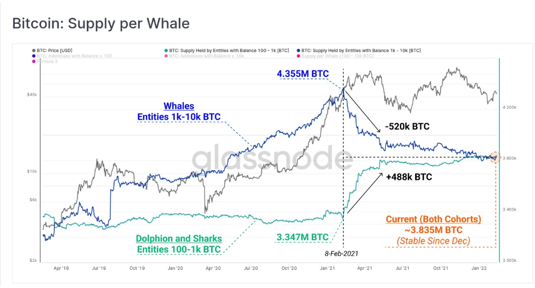 نمودار عرضه نهنگ ها