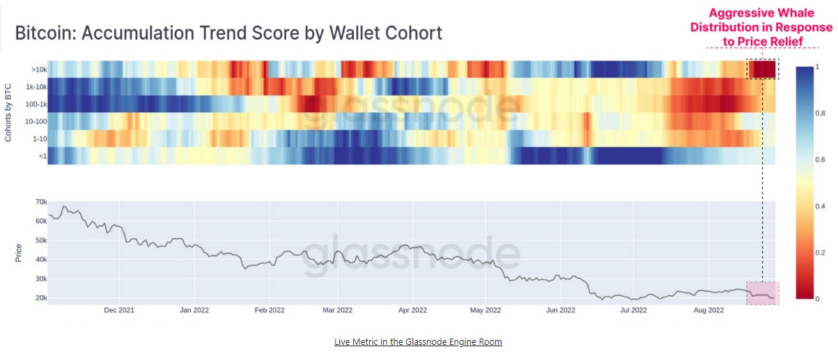 نمودار روند انباشت بیت کوین با مدل Cohort