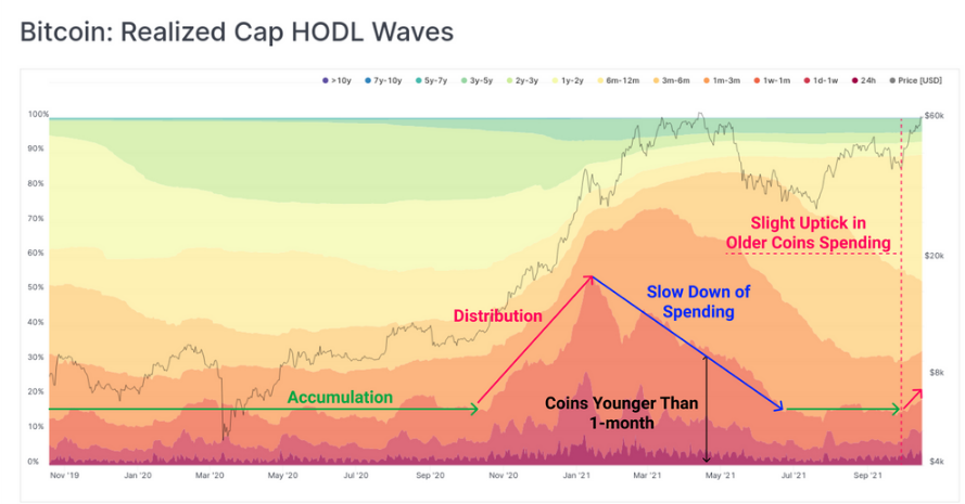 نمودار موجی سرمایه هولدرهای واقعی بیت کوین