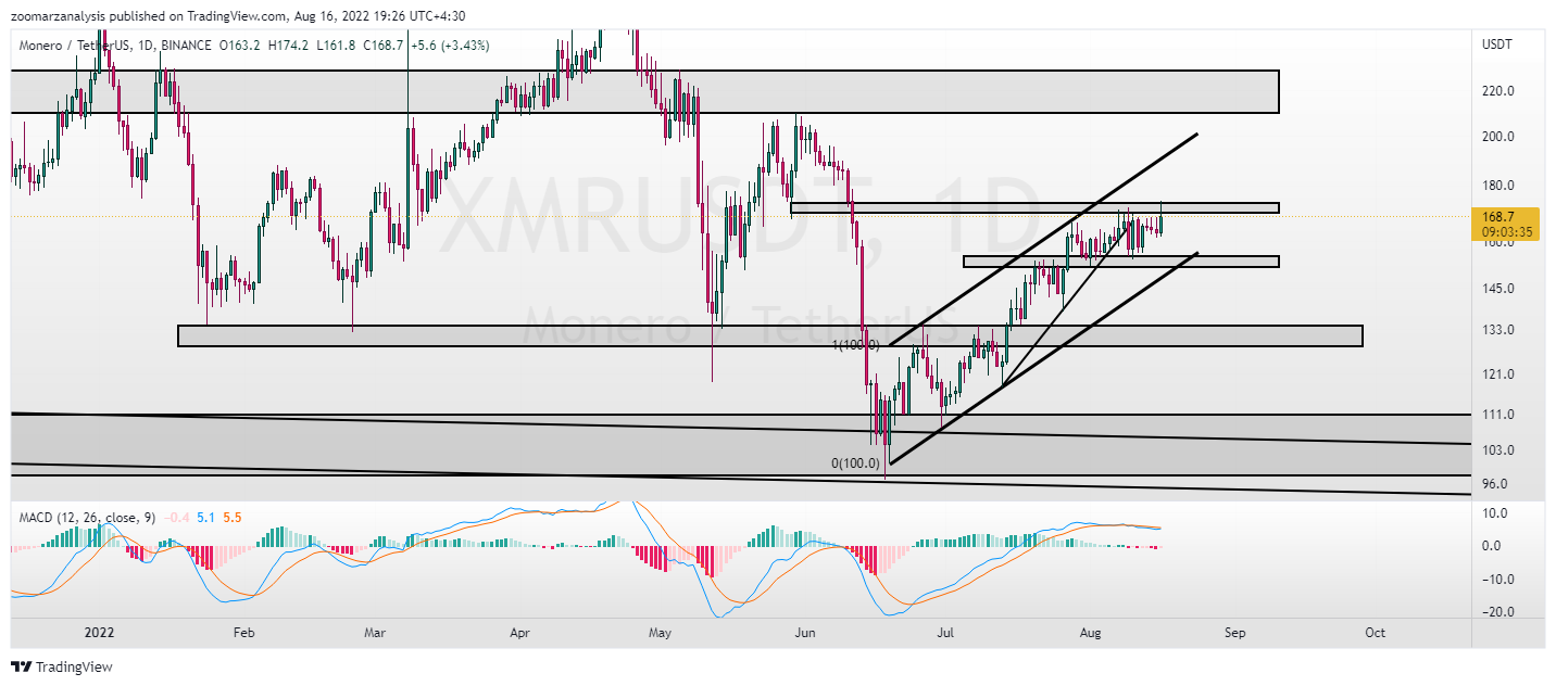 تحلیل مونرو XMR امروز 25 مرداد  1401 بازه زمانی روزانه