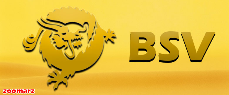 نیم نگاهی به ارز دیجیتال بیت کوین ساتوشی ویژن BSV