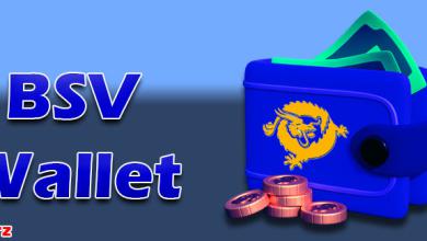 بهترین کیف پول ارز بیت کوین ساتوشی ویژن BSV