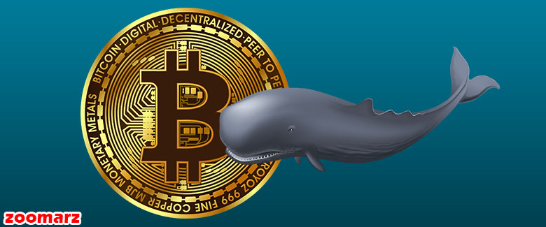 نهنگ‌ها به دنبال بهترین فرصت‌‌های خرید رمز ارز هستند