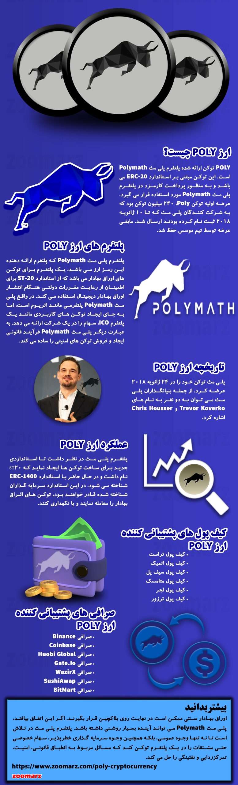 اینفوگرافیک ارز دیجیتال پلی مث POLY
