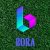 ایردراپ BORA 2.0