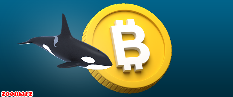 نهنگی که هر روز یک میلیون دلار بیت کوین میخرد