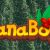 ایردراپ CanaBoyz
