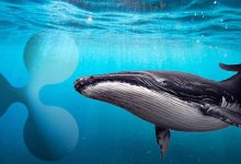 انتقال نیم میلیارد ریپل از FTX توسط نهنگ‌ها