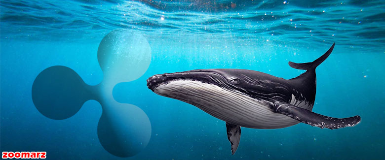 انتقال نیم میلیارد ریپل از FTX توسط نهنگ‌ها